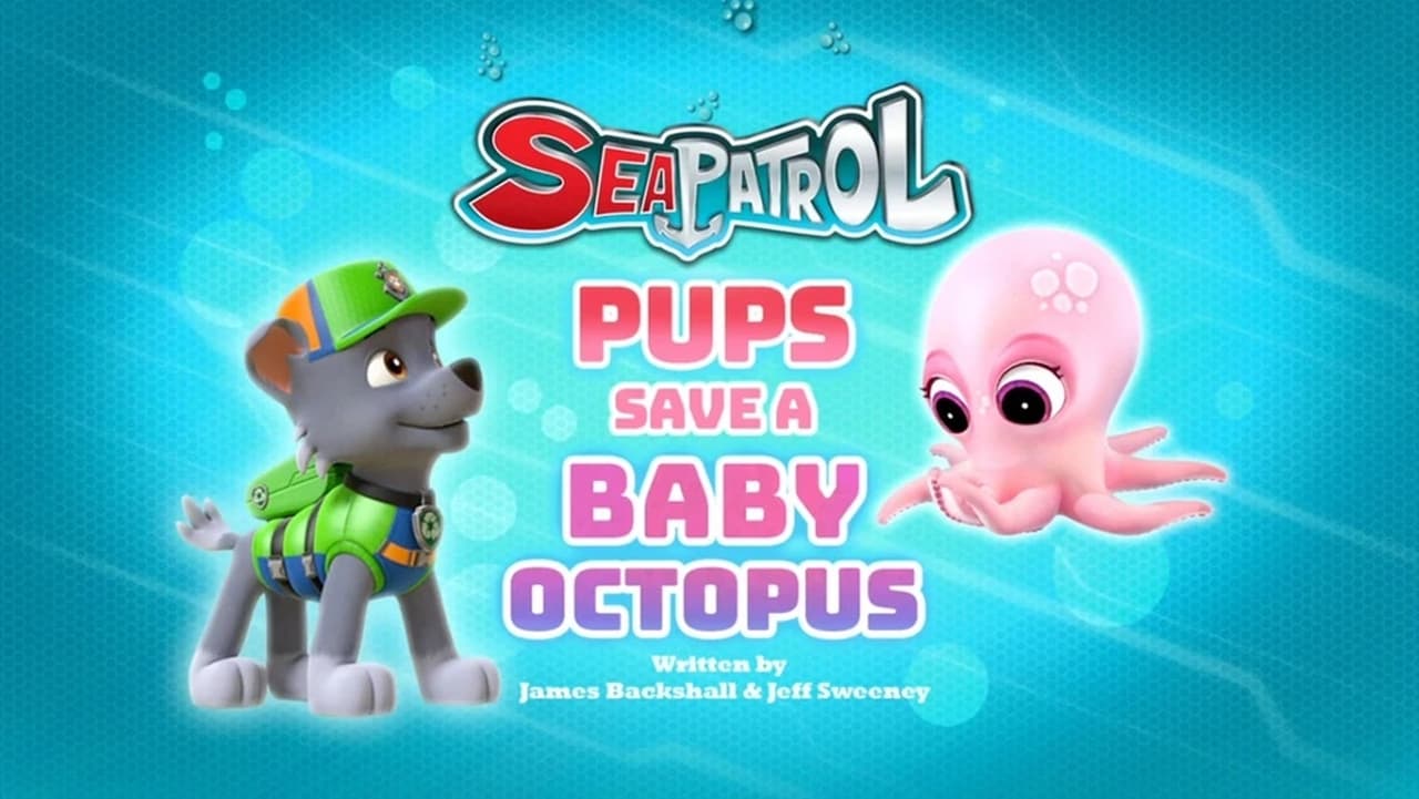 Pups Save a Baby Octopus