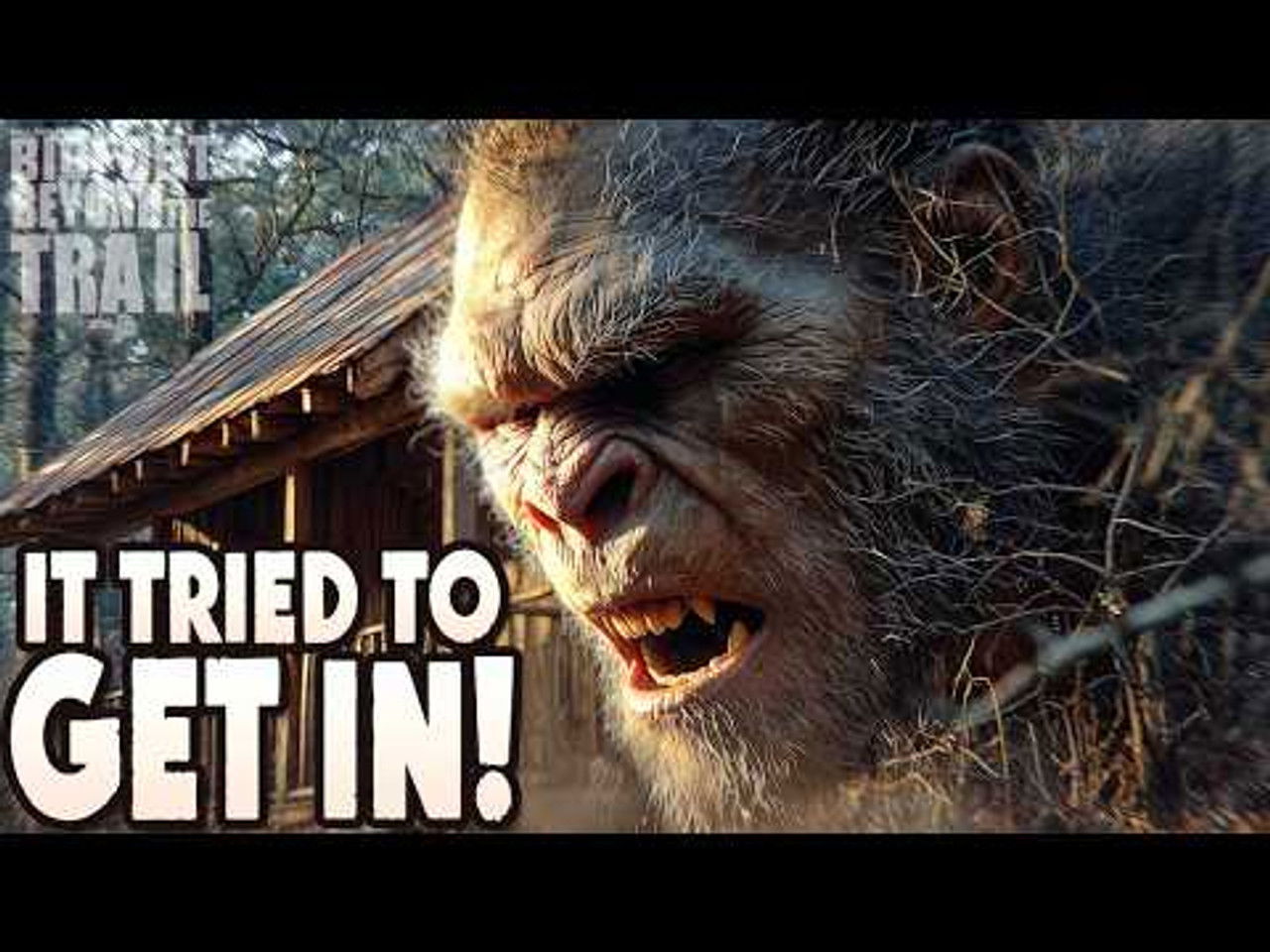 In Search of the Kiamichi Mountain Sasquatch