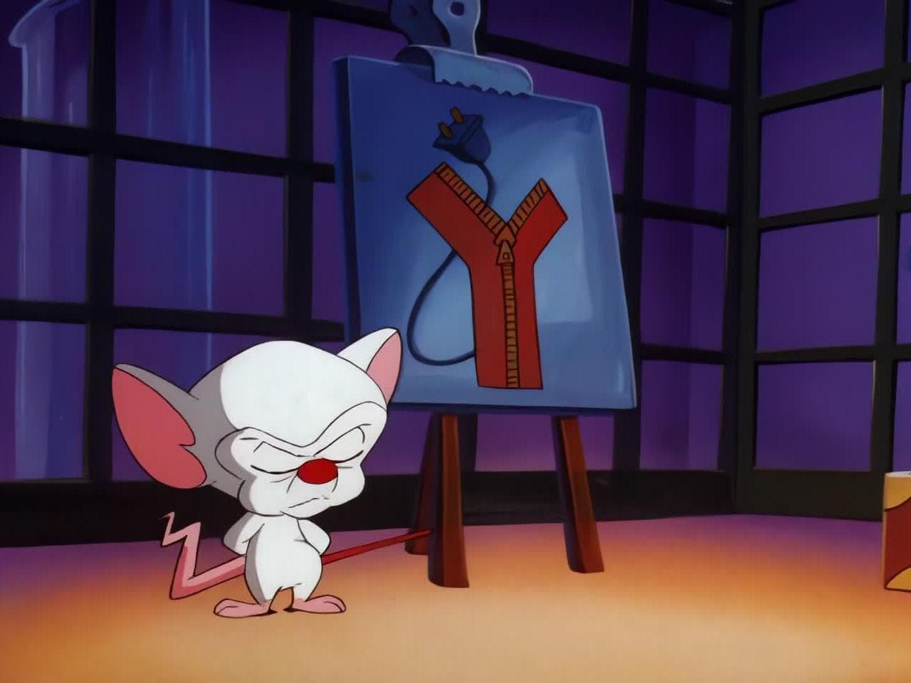 The Pinky And The Brain Reunion Special
