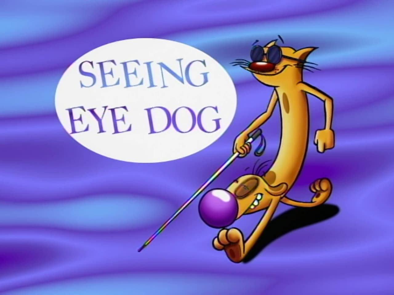 Seeing Eye Dog