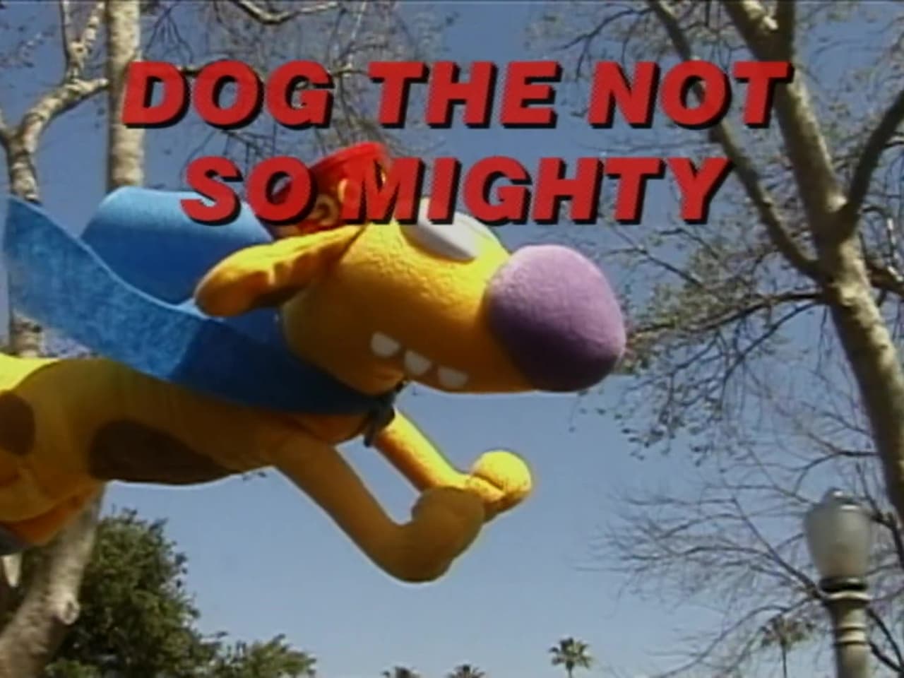 Dog the Not So Mighty