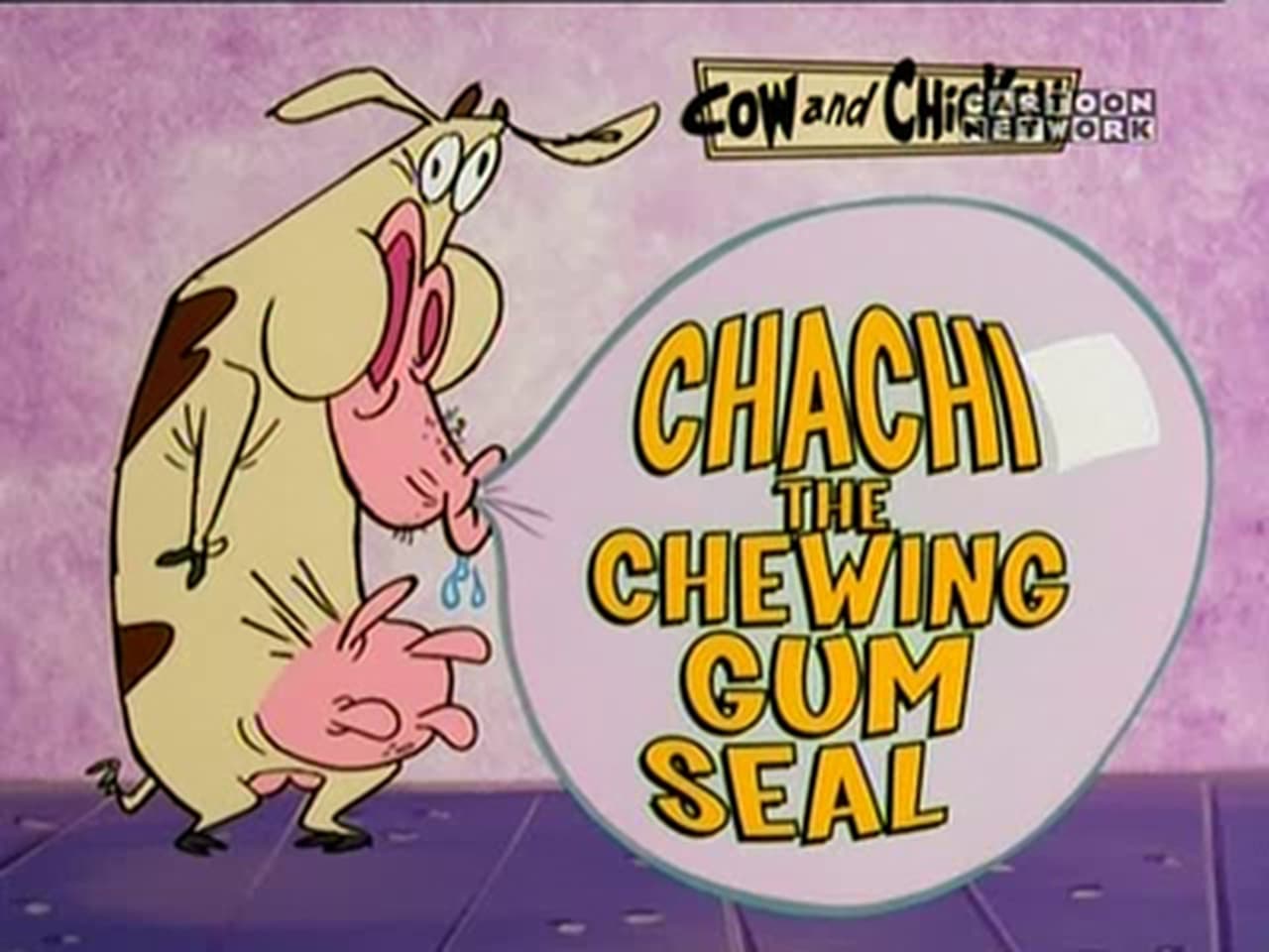 Chachi the Chewing Gum Seal