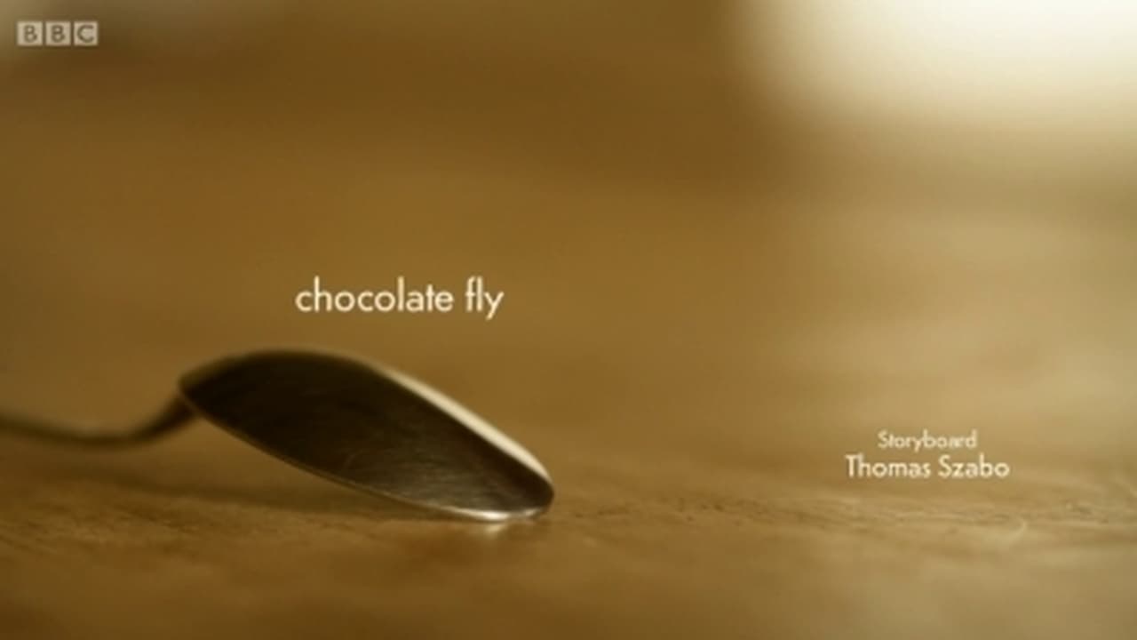 Chocolate fly