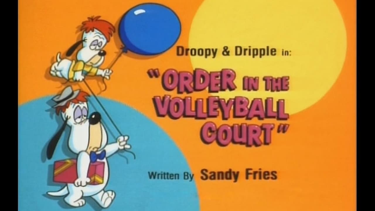 Order in Volleyball Court