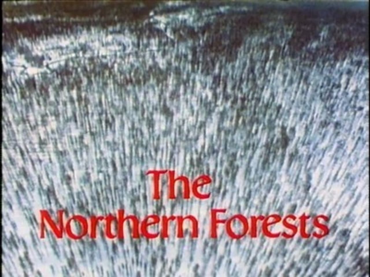 The Northern Forests