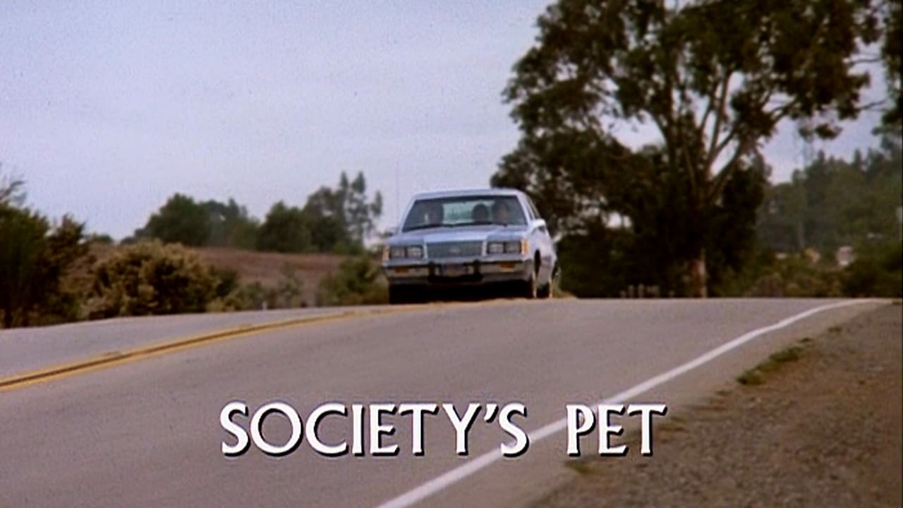 Societys Pet