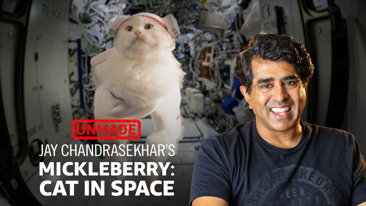 Jay Chandrasekhars Mickleberry Cat In Space