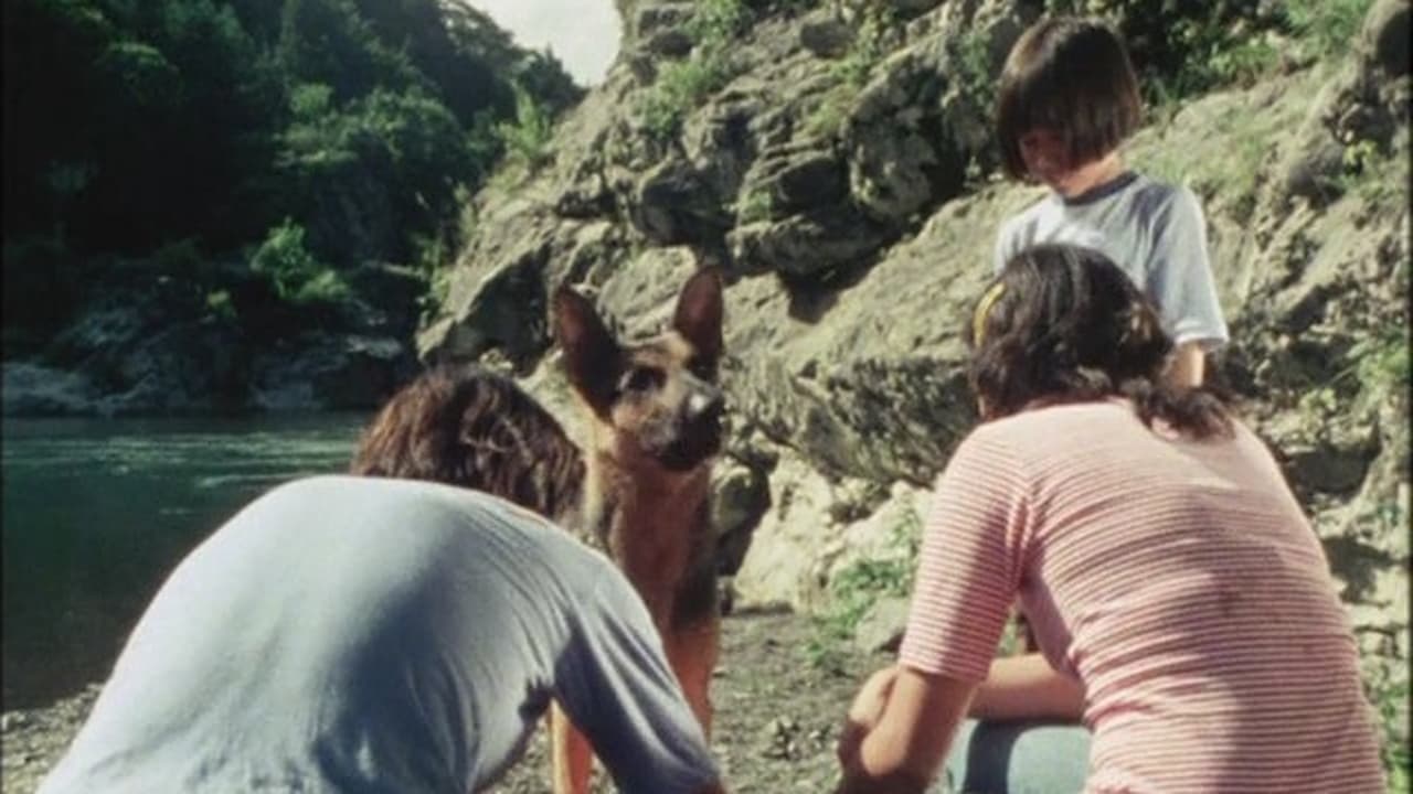 Clever Dog Run Back to Dad