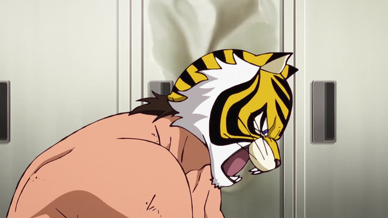 The Tigers Identity