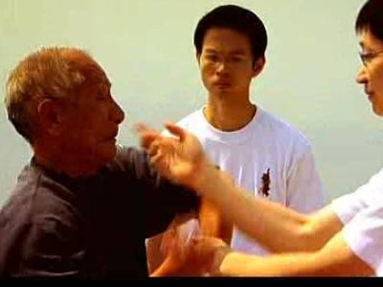 Wushu  Wing Chun