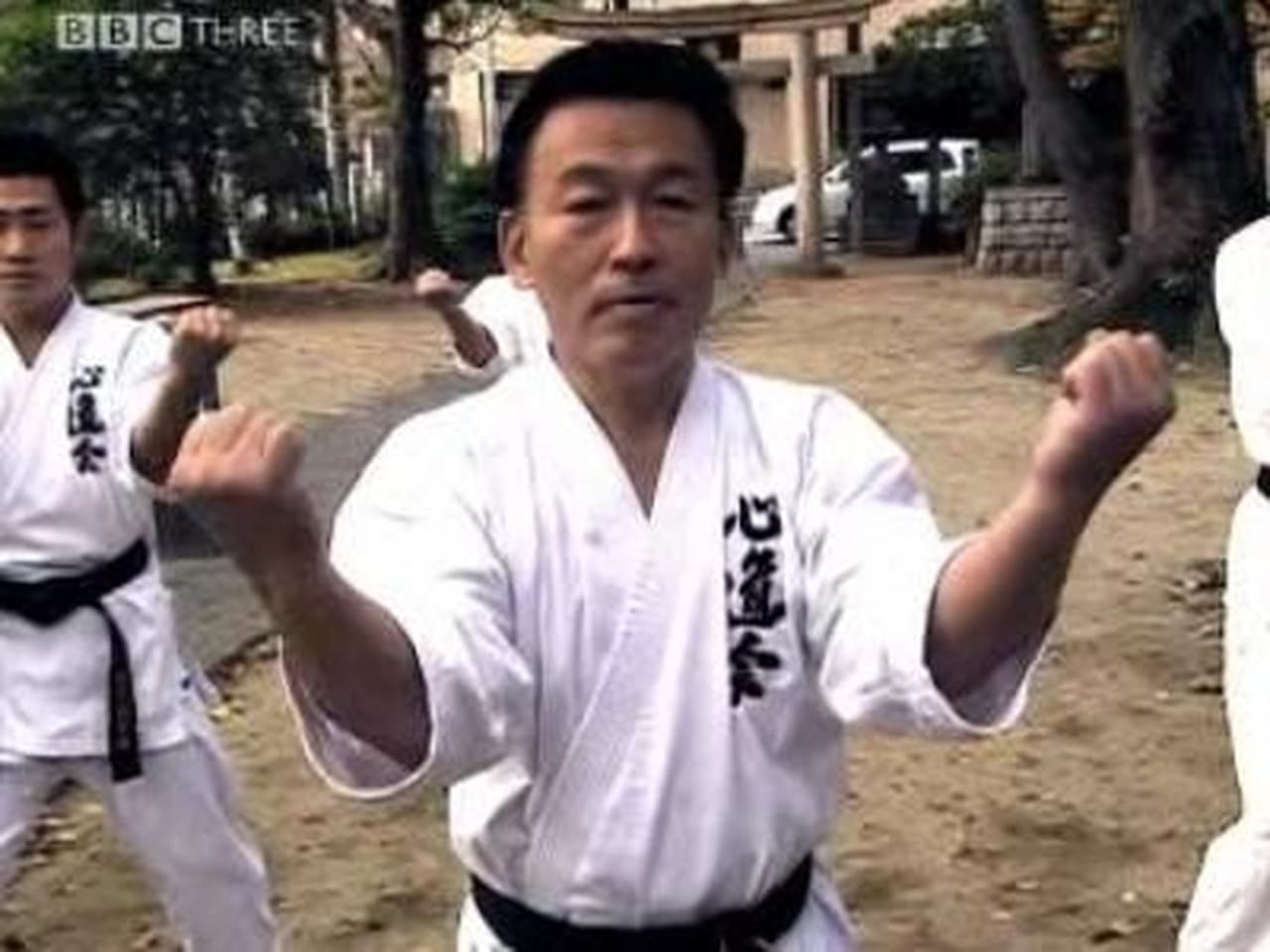 Shin Gong Okinawan Karate  Haring Bakal