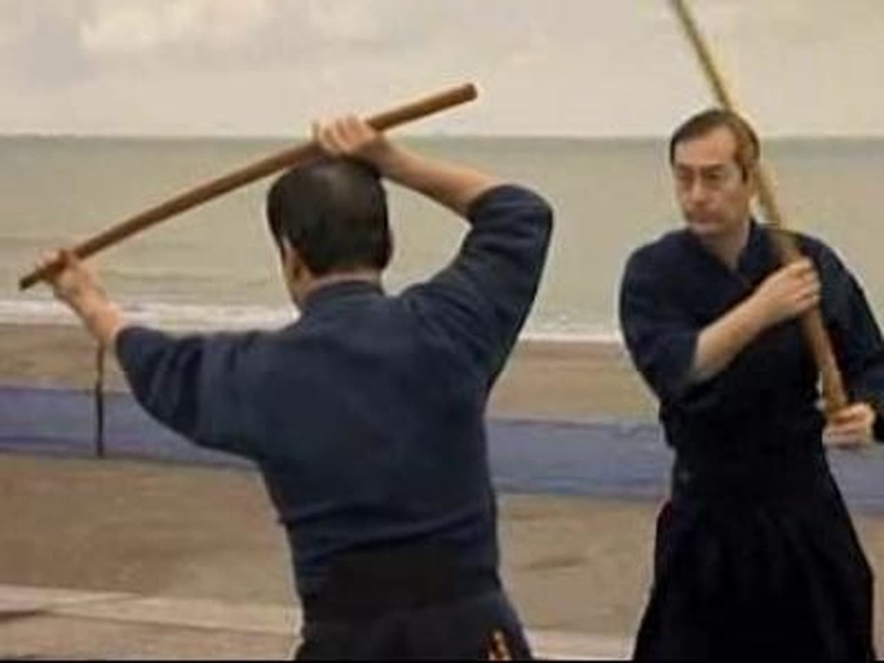 Special Forces Japanese Sword Skills Lion Dancing  Tai Chi Animal Style