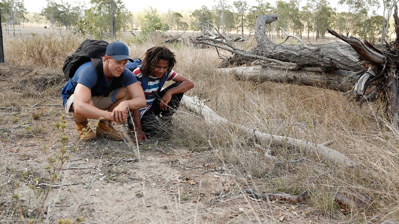 HairyNosed Wombats