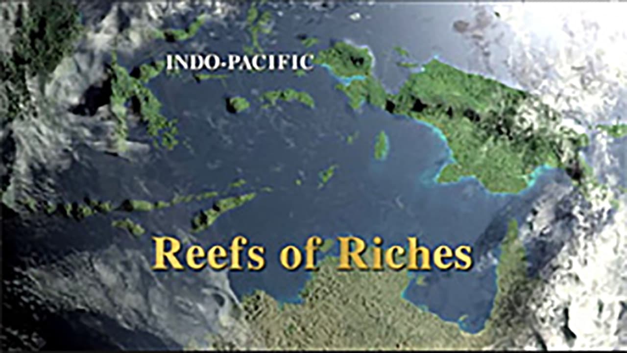 Reef of Riches