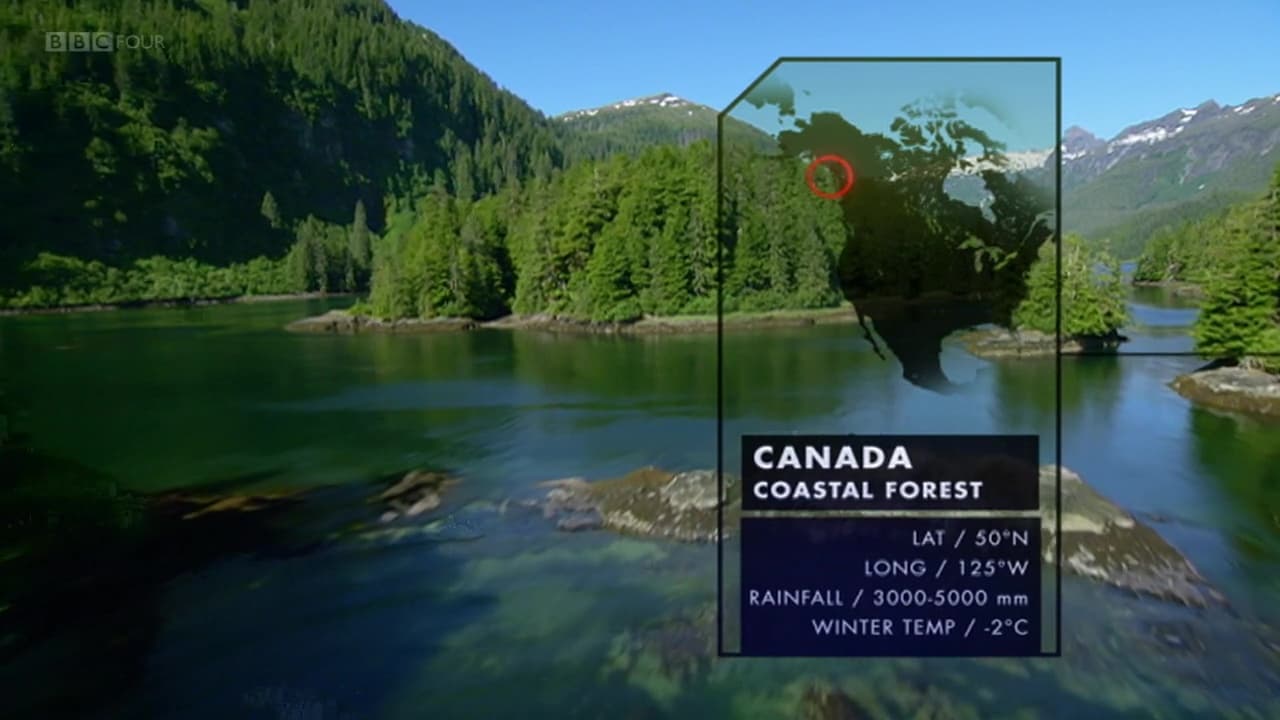Canadas Coastal Forests