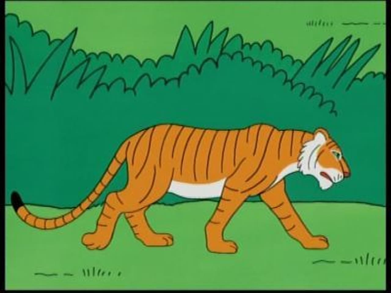 India  Tiger