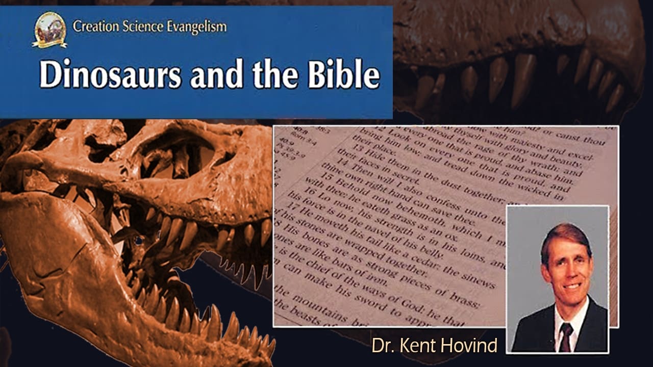 Dinosaurs And The Bible