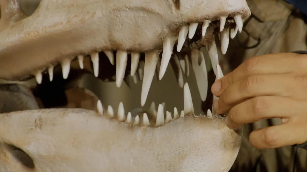 Postosuchus and Teeth