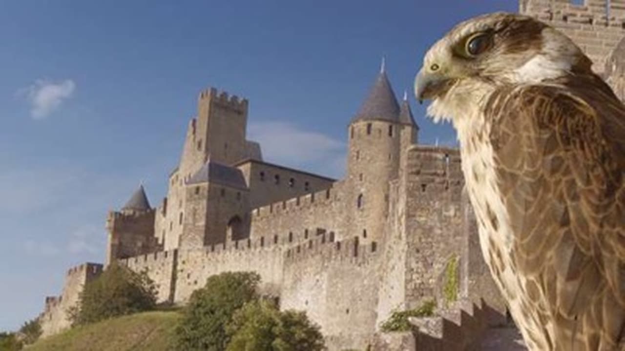 Carcassone The Realm of the Owl