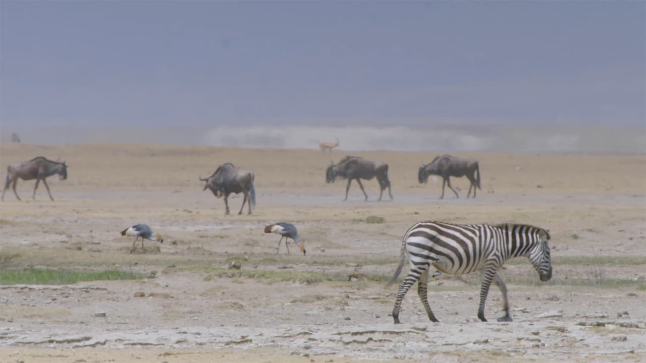 Ngorongoro Crater Cursed Haven