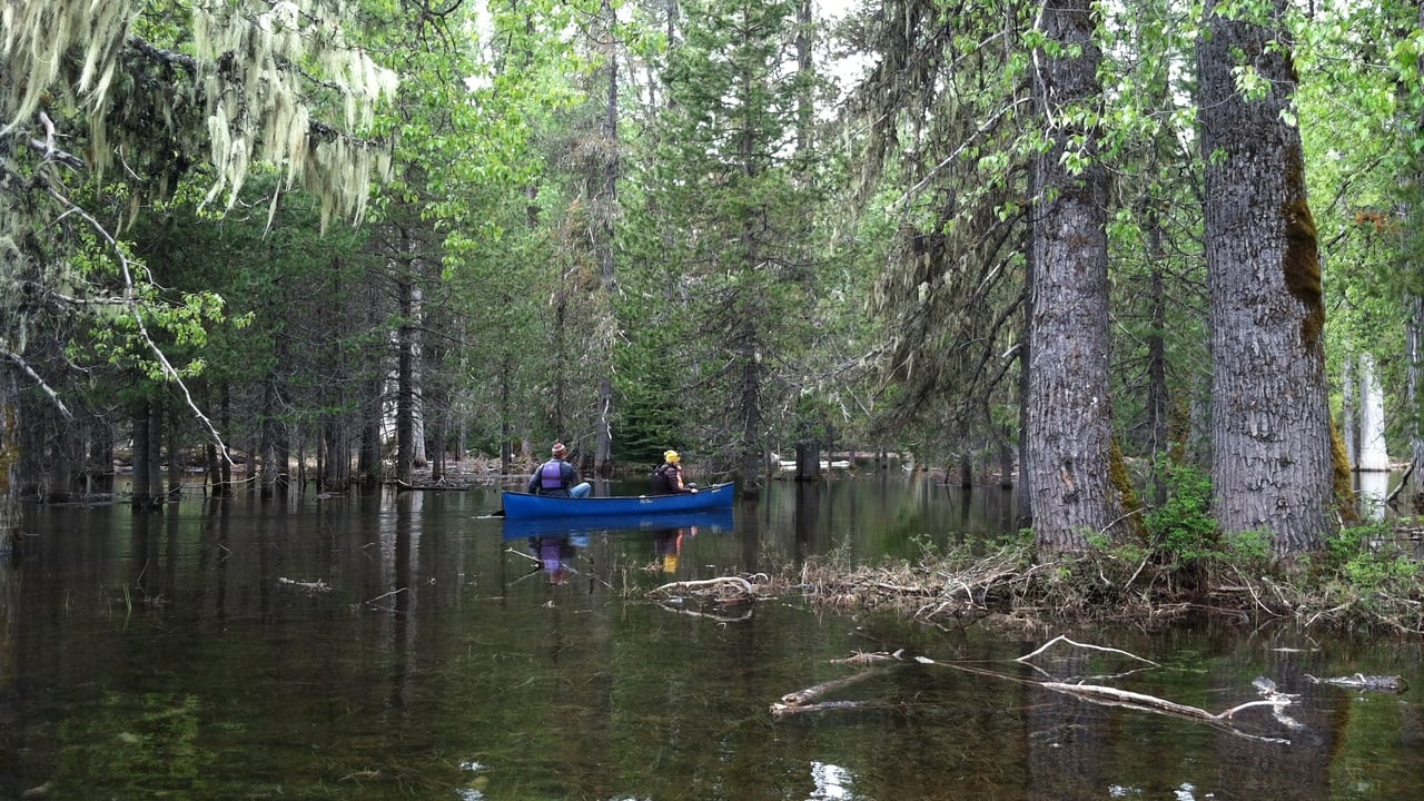Disappearing Lake Bat Mystery Jeff Douglas Remembered And Klamath Lake Canoe Trail