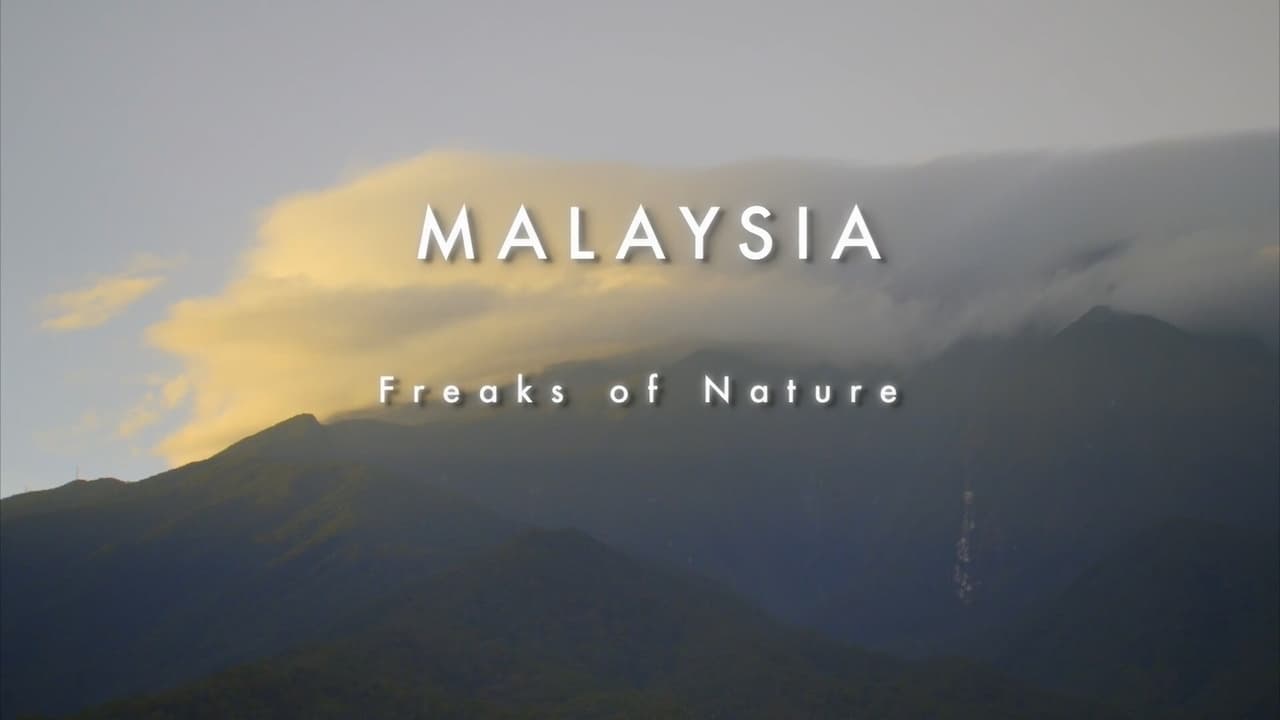 Malaysia  Freaks of Nature