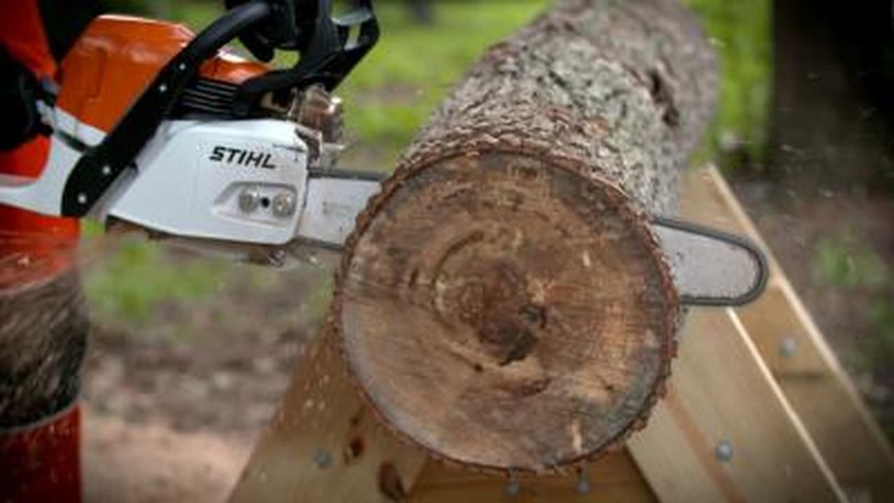 Chainsaws Jukeboxes and Fishing Reels