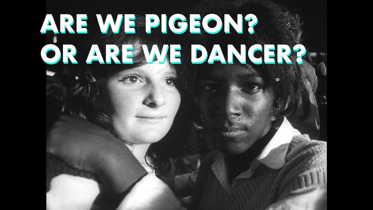 Part Six  Are We Pigeon Or Are We Dancer