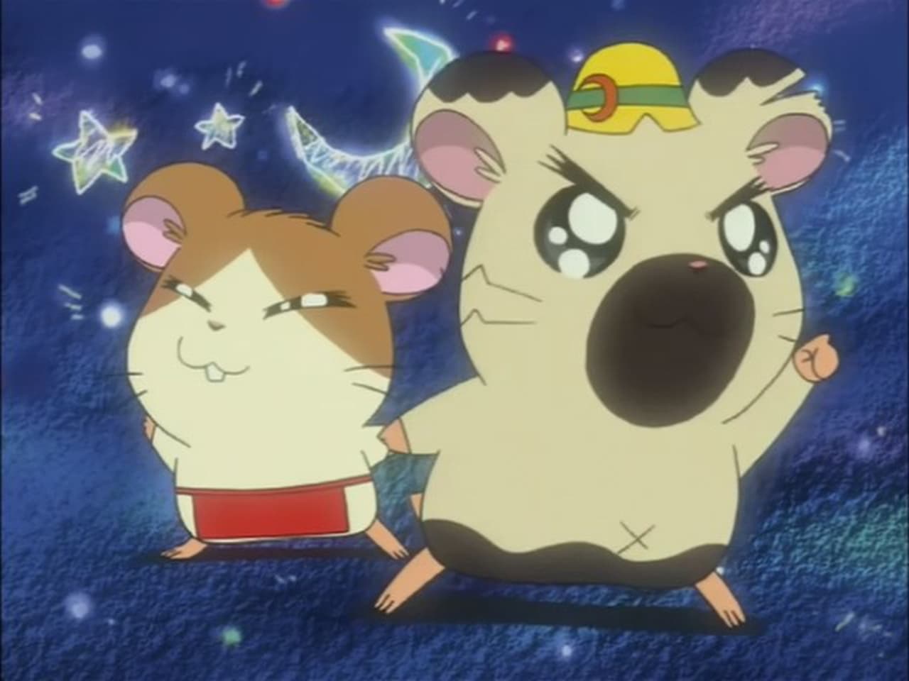 Hamtaro and the Space Ship