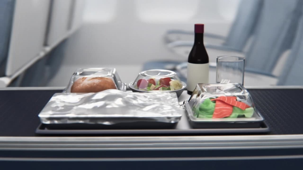 Airplane Meals
