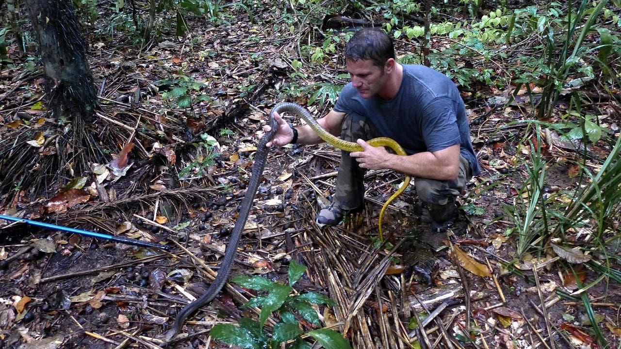 Guyana Giants