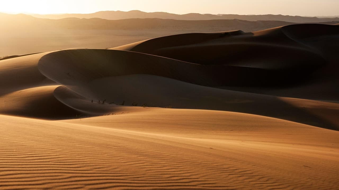 Namib Skeleton Coast and Beyond