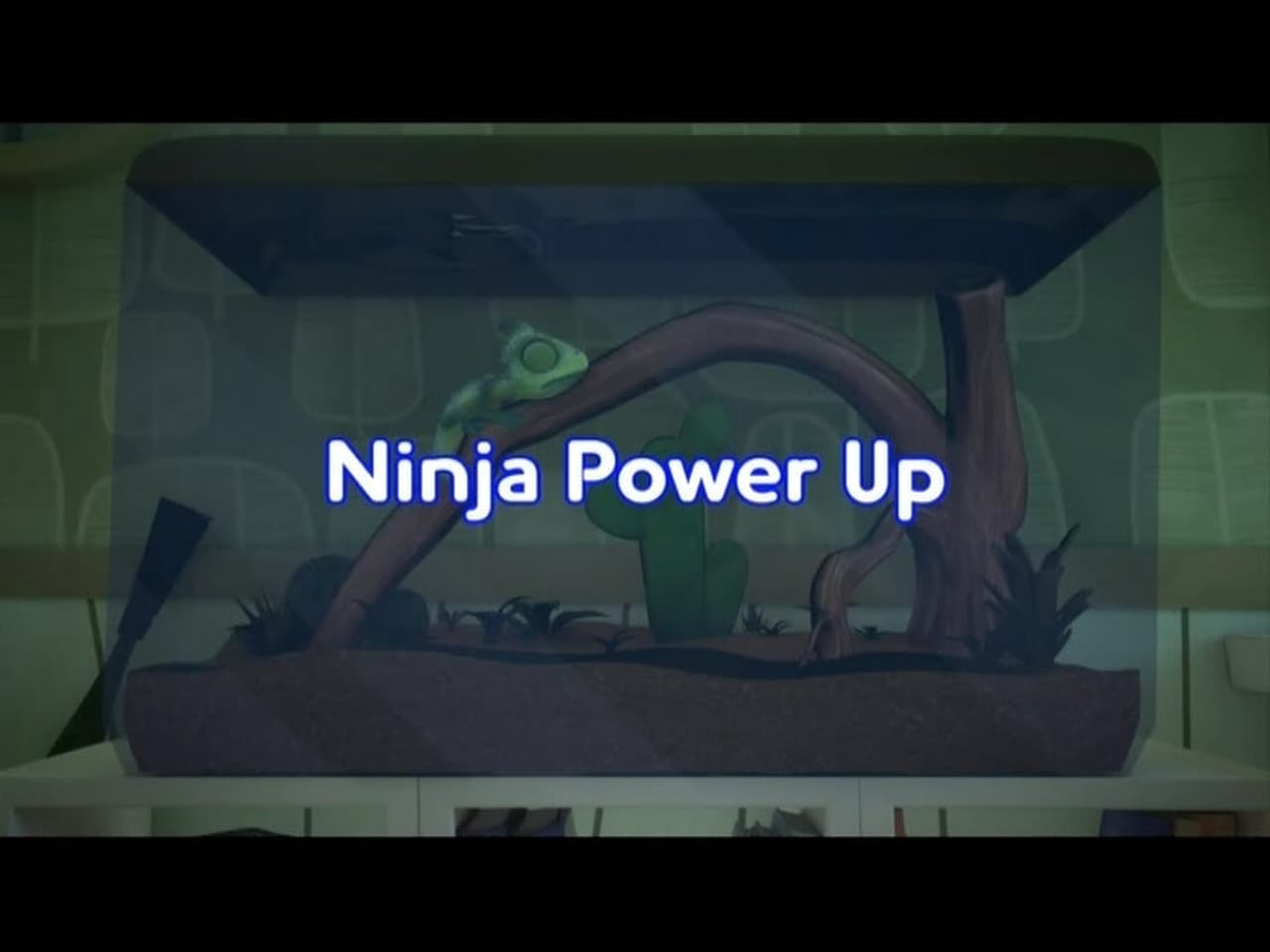 Ninja Power Up