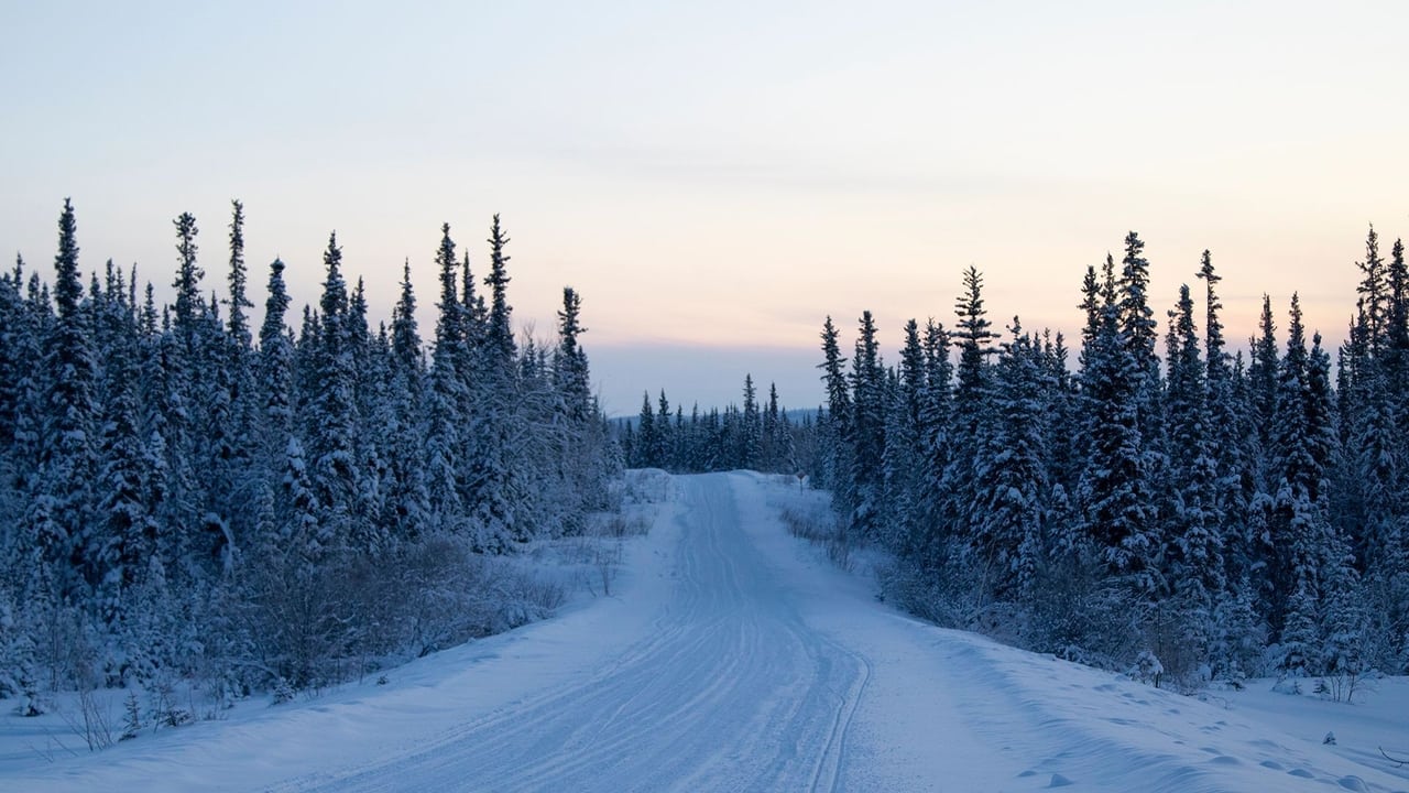 Snowbound