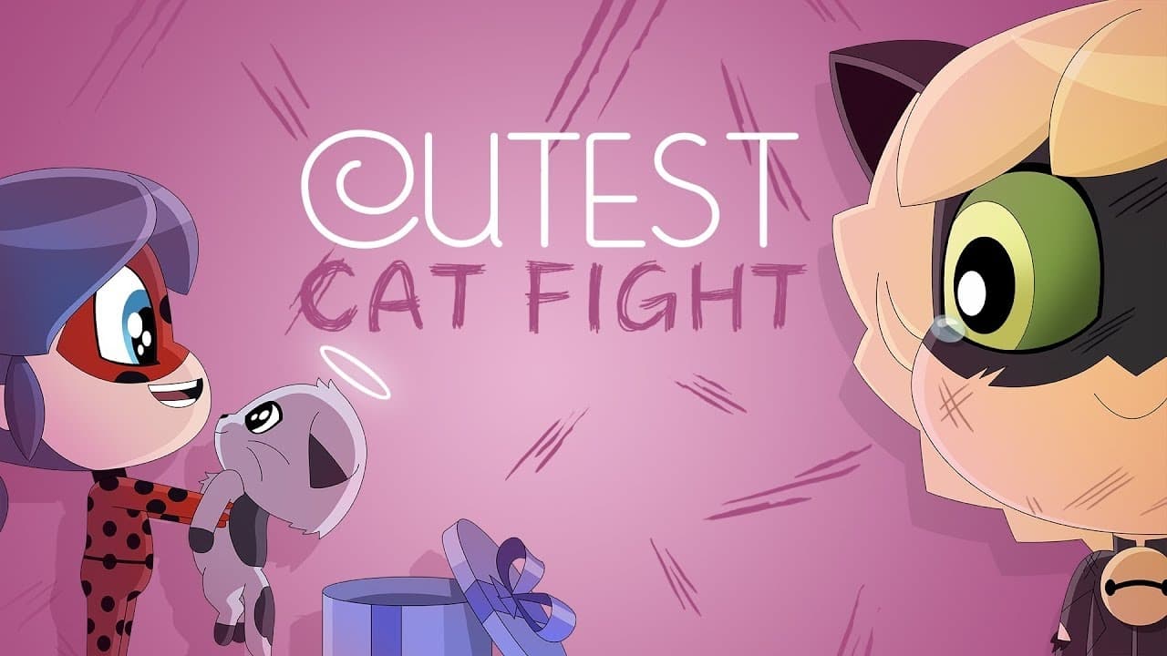 Cutest Cat Fight