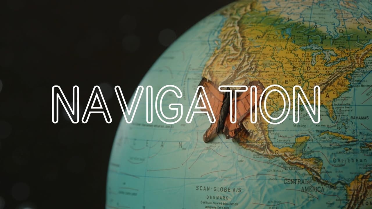 How Animals Navigate their Worlds