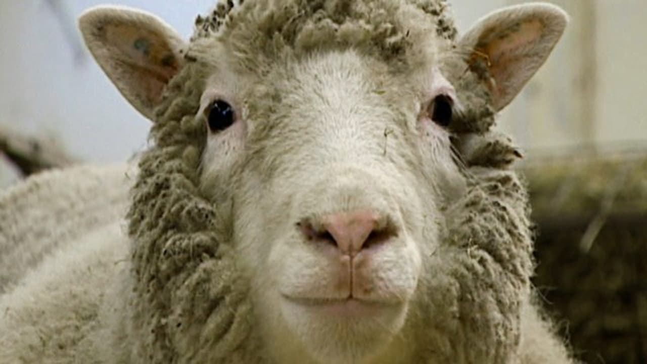 Dolly The Sheep That Changed the World