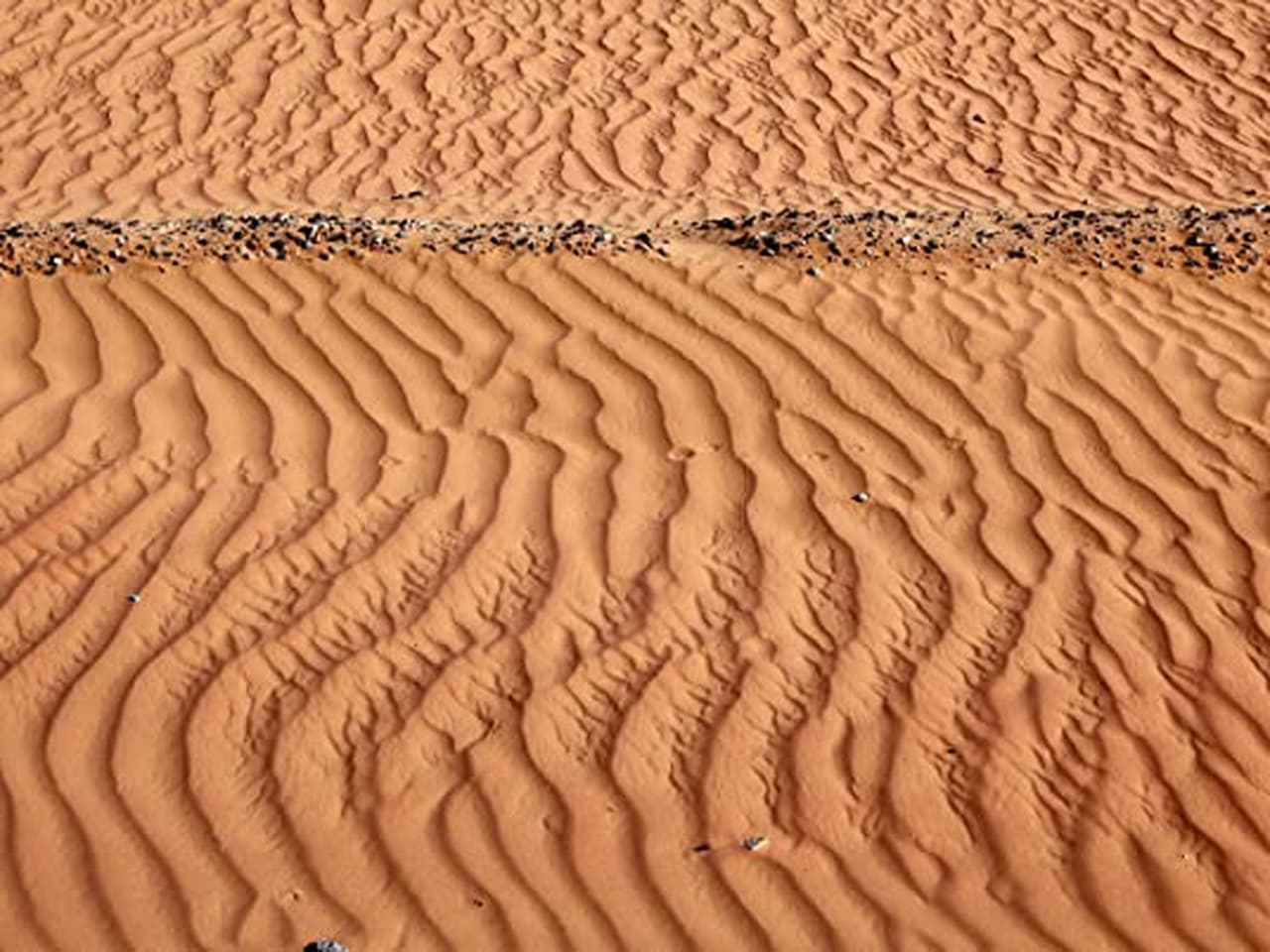 The Pink Wadi Rum