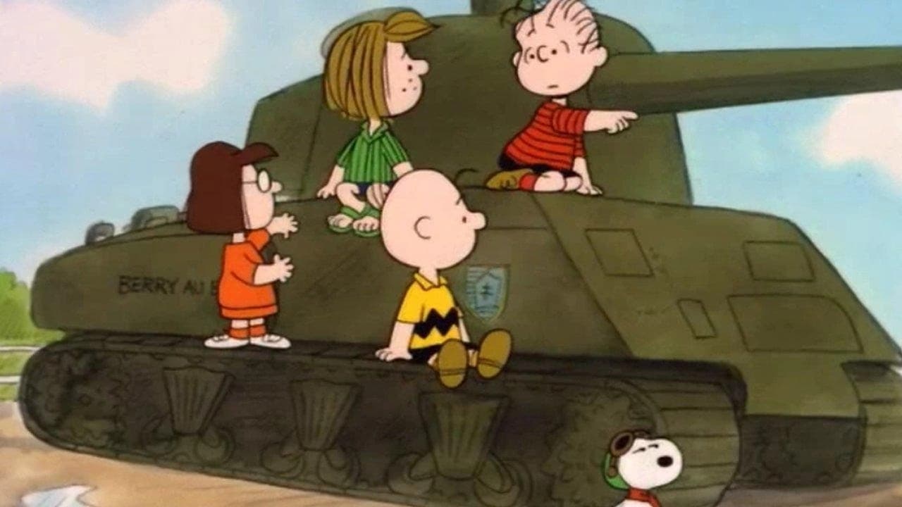 What Have We Learned Charlie Brown
