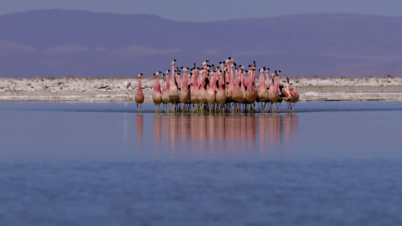 Atacama Chile