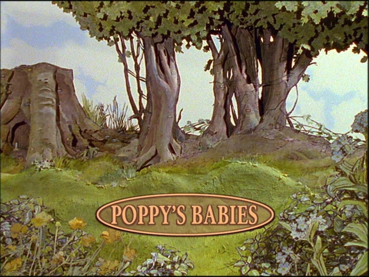 Poppys Babies