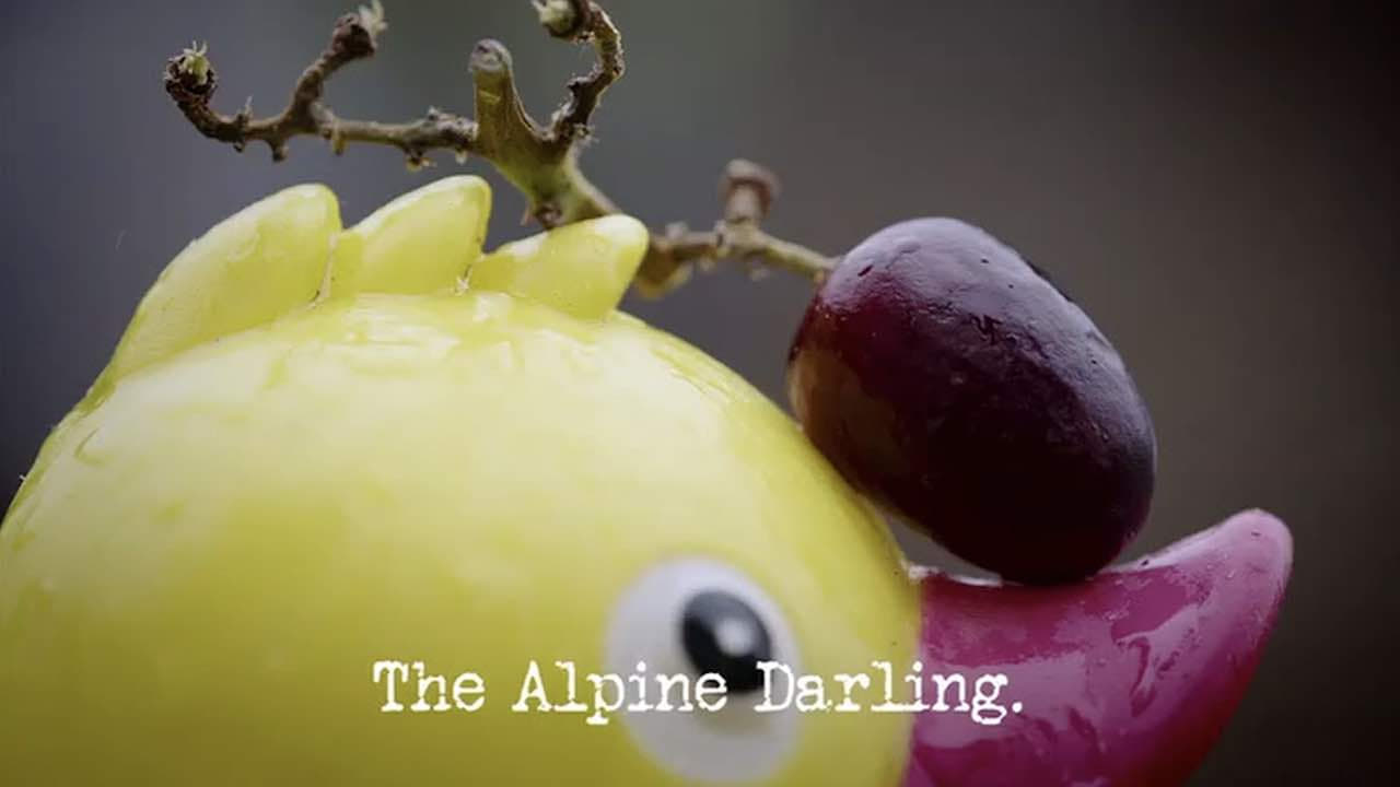 The Alpine Darling
