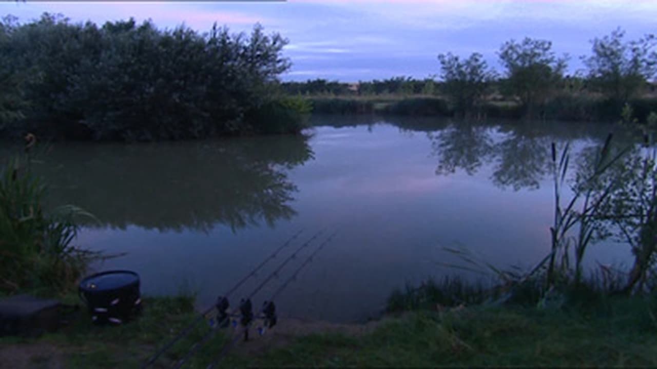 Days 58 Wels Catfish