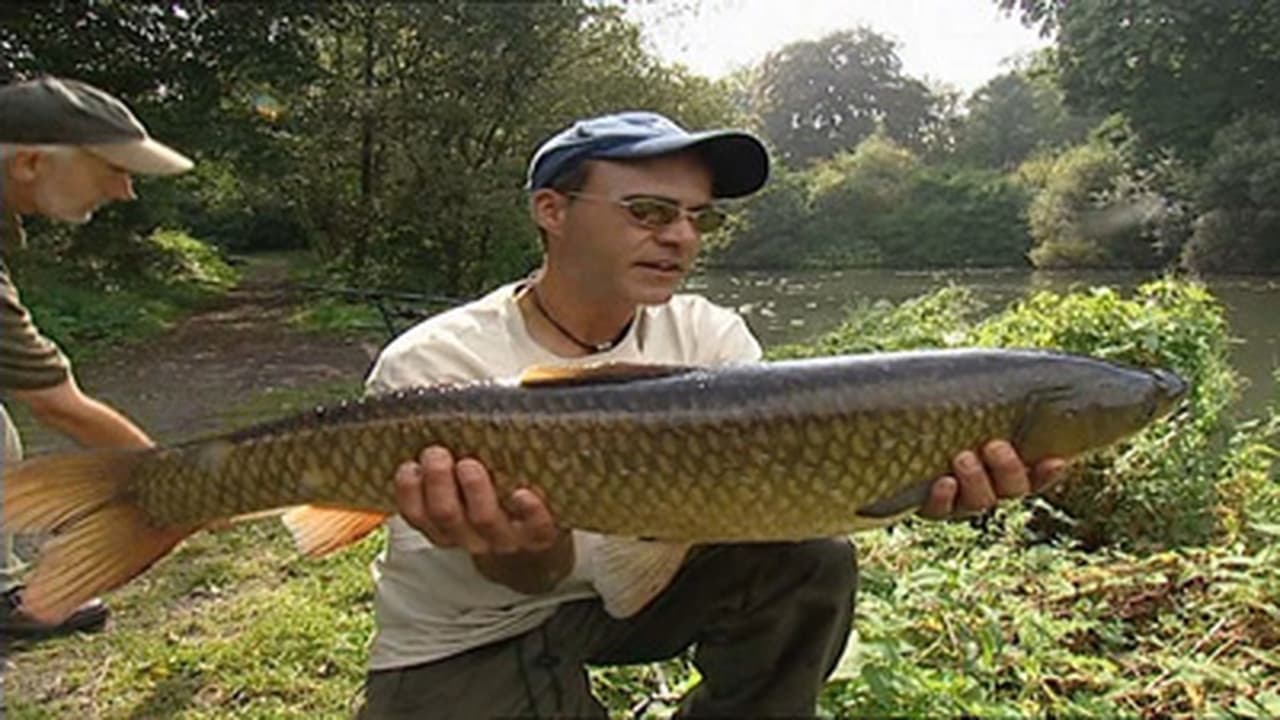 Days 1516 Crucian and Grass Carp