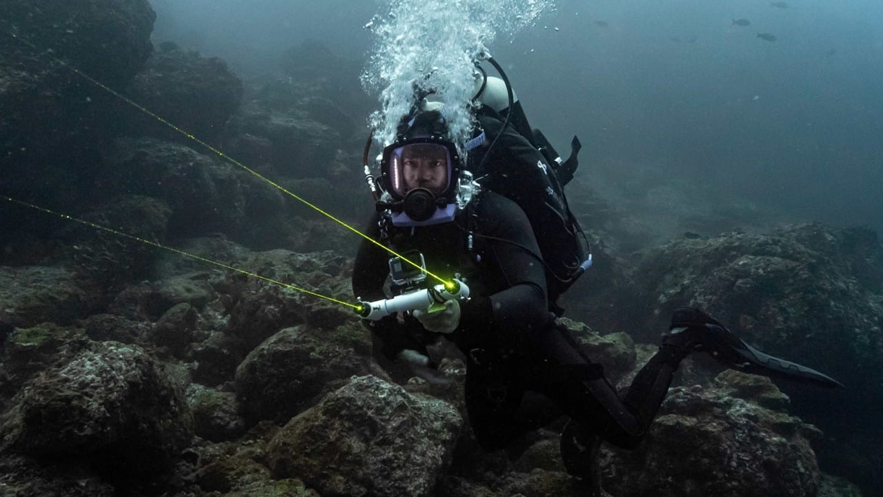 Sharks of the Pacific Ocean