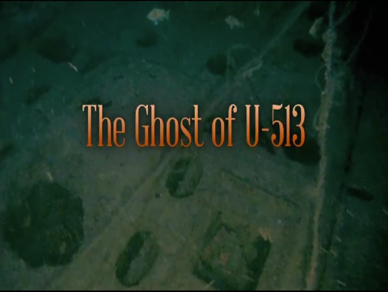 The Ghost of U513
