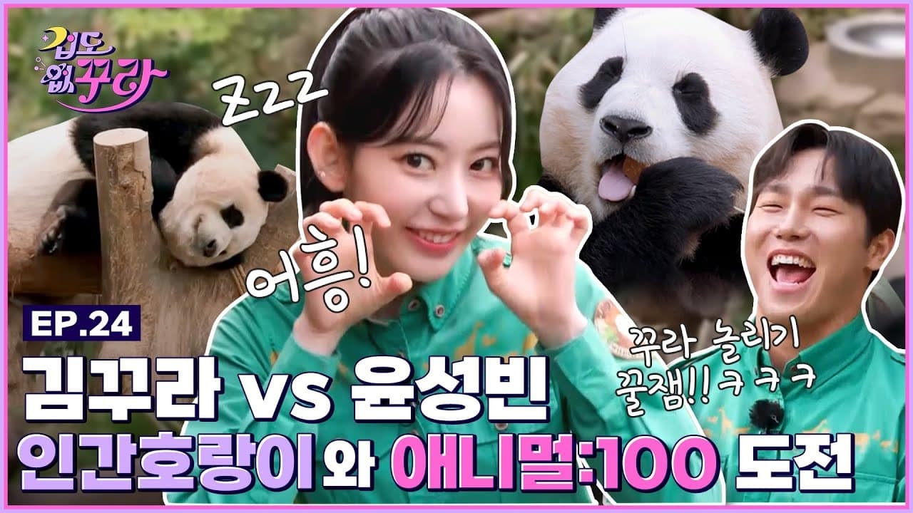 Sakura X Yun Sung Bin Animal 100 Challenge with Fu Bao Tiger and T Express