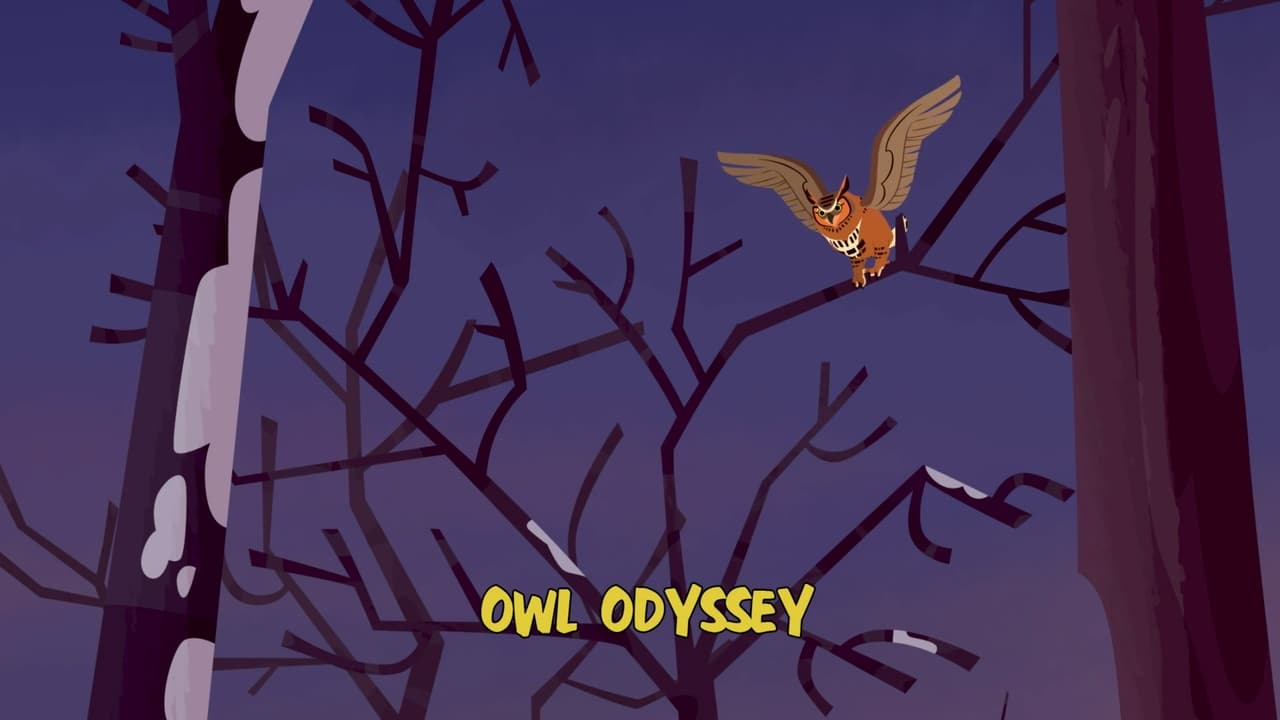 Owl Odyssey