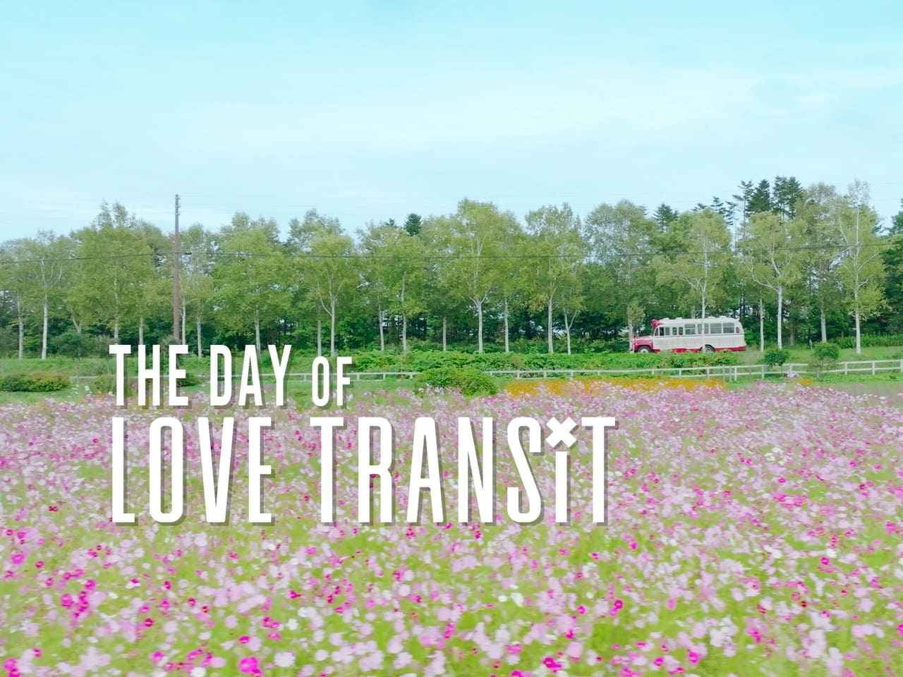 THE DAY OF LOVE TRANSiT