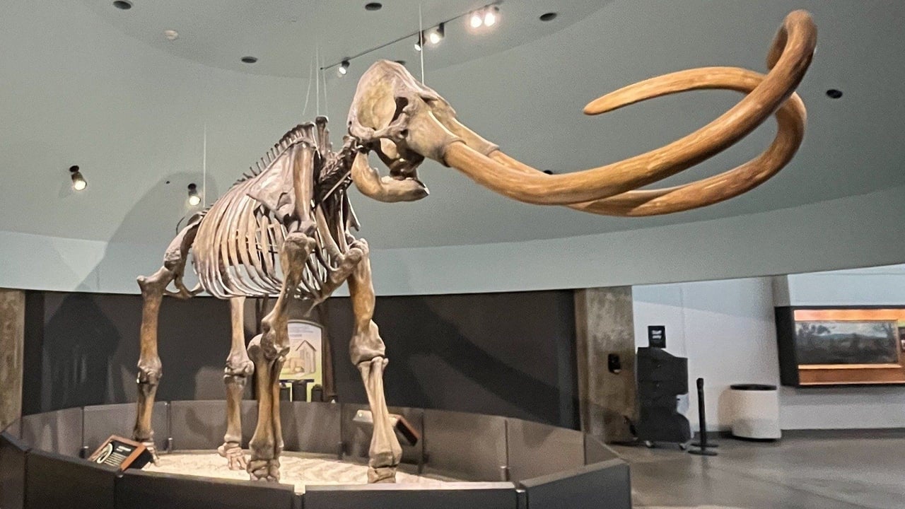 Secrets of the Giant Mammoths